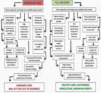 Principles of Forage Recovery Chart Image